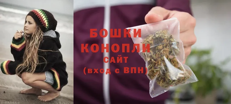 Каннабис OG Kush  Нестеров 